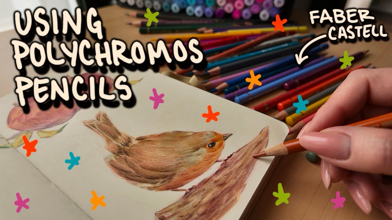 ИСПОЛЬЗУЯ КАРАНДАШИ POLYCHROMOS - ассортимента нет, но есть воля к жизни