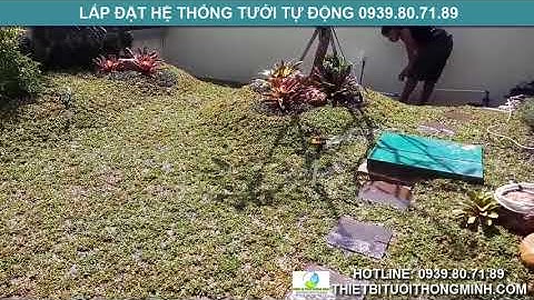 Lắp đặt đầu tưới cỏ cánh đập phun mưa sân vườn biệt thự mini tại tphcm.