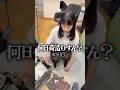 夢だったヨーロッパ旅行でずっと〇〇してるヨッメ