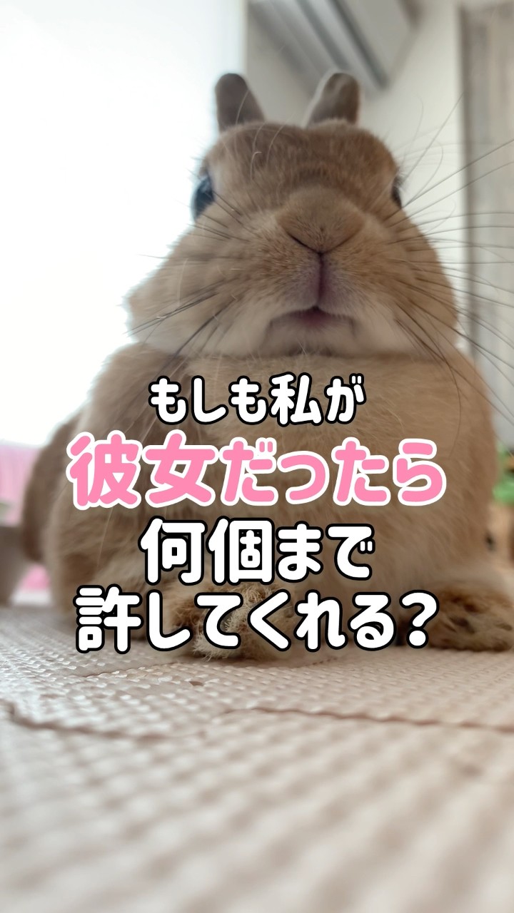 うさ男@ウサちゃんとの思い出 - YouTube