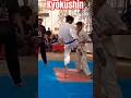 Artofight shorts shots fight viral kyokushin kick art karate