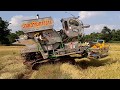 แรง เร็ว จัดจ้าน รถเกี่ยวตู้แอร์ VIP ปานเจริญ2019 ข้าวหนา เมืองบุรีรัมย์ combine harvesters EP.5829