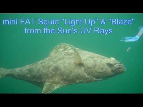 Squid Lure Catching Halibut underwater video 