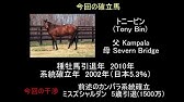 ゆっくり解説 ウイニングポスト9 21 系統確立 イージーゴア バックパサー アリダー両立 編 Youtube ゆっくり解説 ウイニングポスト9 21 系統確立 イージーゴア バックパサー アリダー両立 編 Youtube
