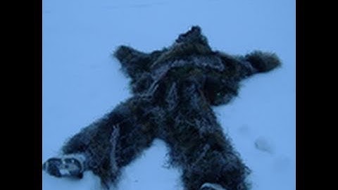 EPIC REAL LIFE DOLPHIN DIVE! by Whiteboy7thst