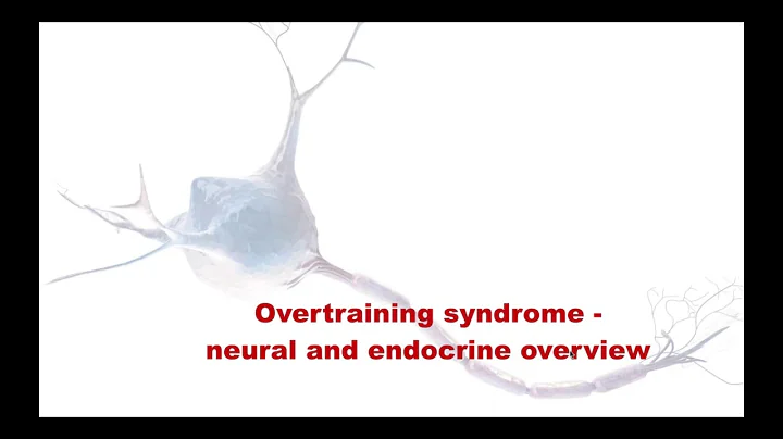 Overtraining from a Functional Health Perspective ...