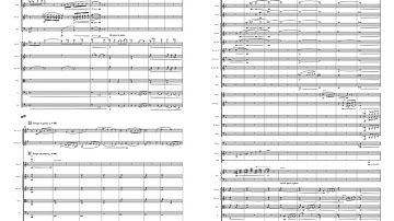 Symphony No. 1 in D Minor - Movement 1 Score Video