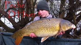 Peche de la carpe, Technique L'Hiver #Session Carpe#