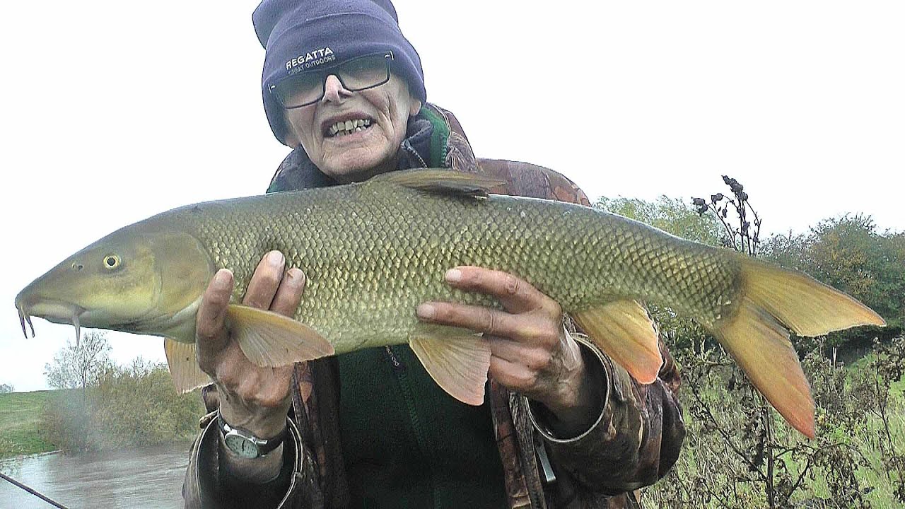 513 Fishing the rising River Swale
