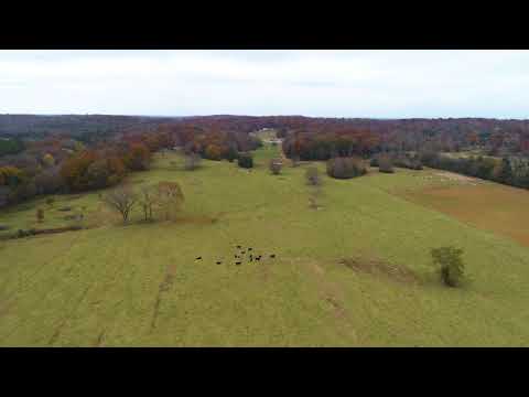 310 Moulder Rd, Shelbyville, TN home video tour