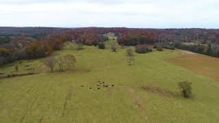 310 Moulder Rd video tour