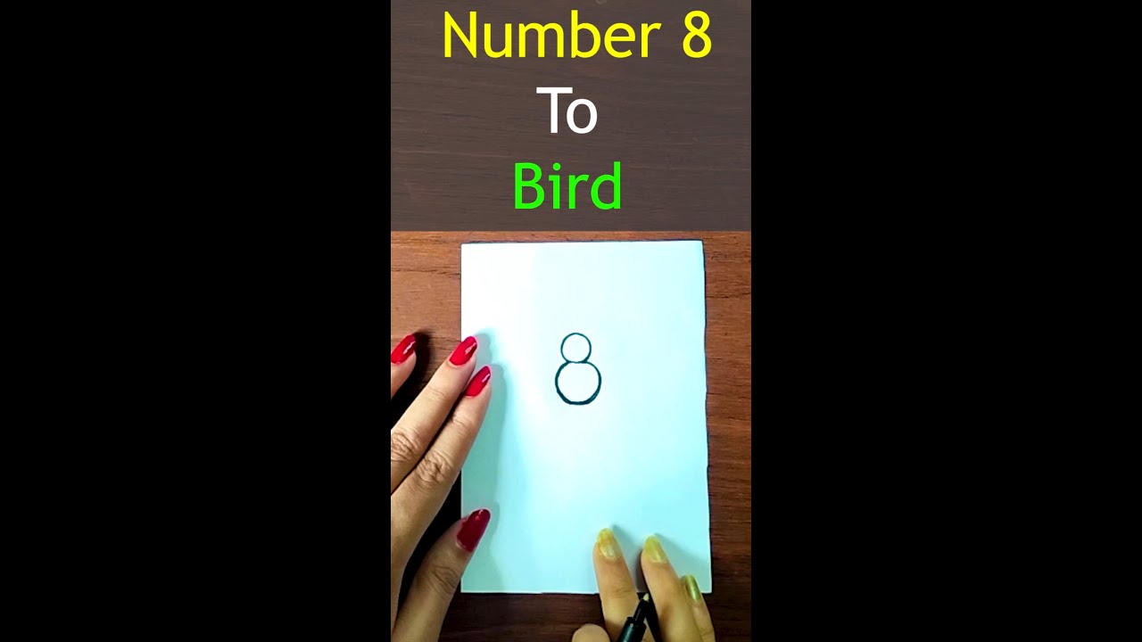 Number 8 To Bird Drawing Easy 🐦