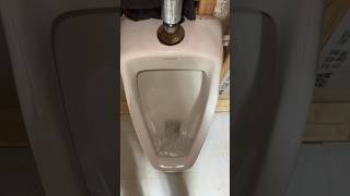 My 1995 Kohler Dexter Urinal Flushing!