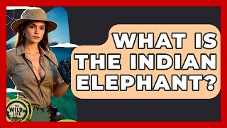 What Is The Indian Elephant? - The Wild Life Explorer