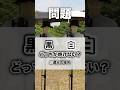 【遮光日傘】黒と白どっちが焼けない?#日傘 #日焼け #日焼け対策