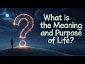 What Is the Meaning and Purpose of Life? | Philosophy Before Sleep