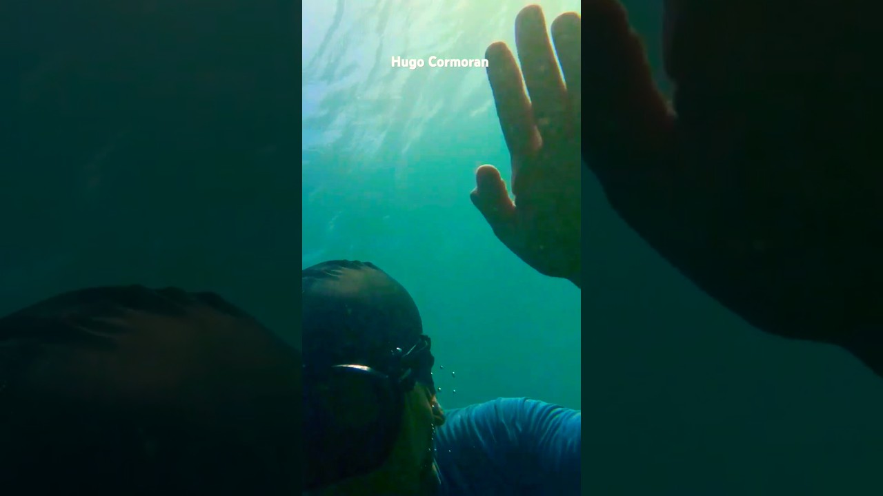 Training & exploring 