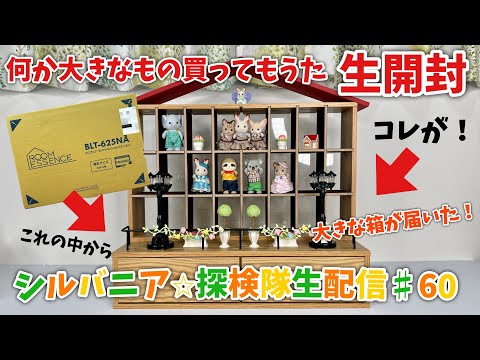 生配信#60】何だか大きな箱が届いたので…生開封！配信【シルバニア