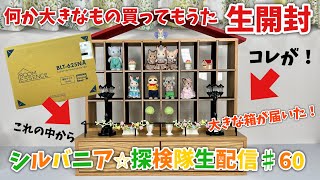 生配信#60】何だか大きな箱が届いたので…生開封！配信【シルバニア