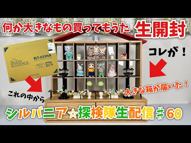 生配信#60】何だか大きな箱が届いたので…生開封！配信【シルバニア