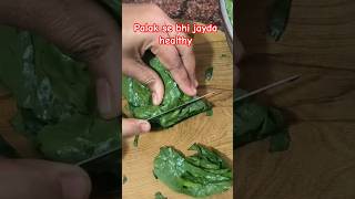 Crispy Poi Saag Pakoda 😍 | Healthy &amp; Tasty Evening Snack  #YouTubeShorts #Viral #kirtykitchendiary
