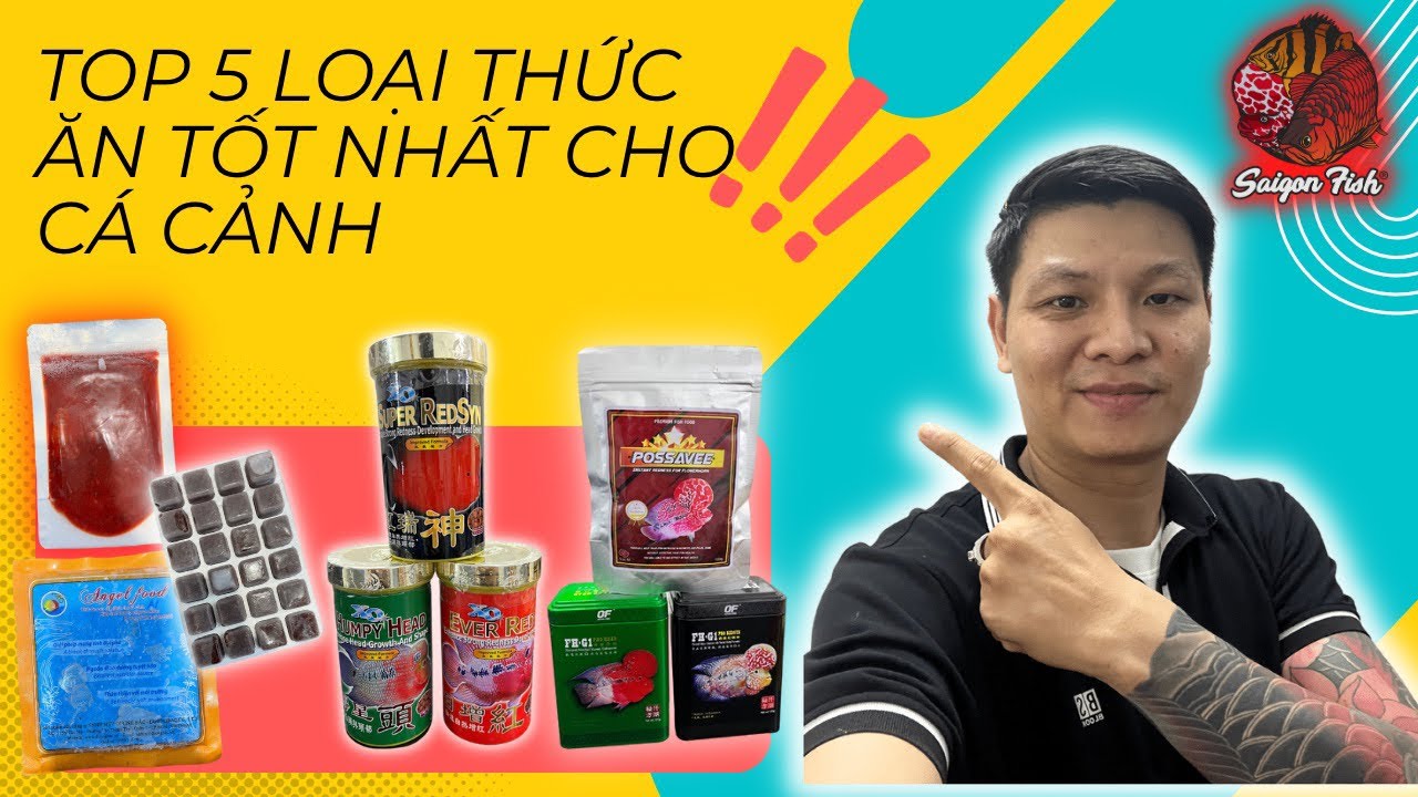 TOP 5 loại thức ăn tốt nhất dành cho Cá La Hán và Cá Cảnh