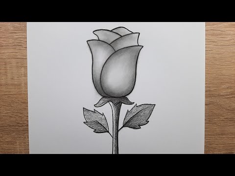 ผลสลากกินแบ่งรัฐบาล วันที่ 1 พย. 2567