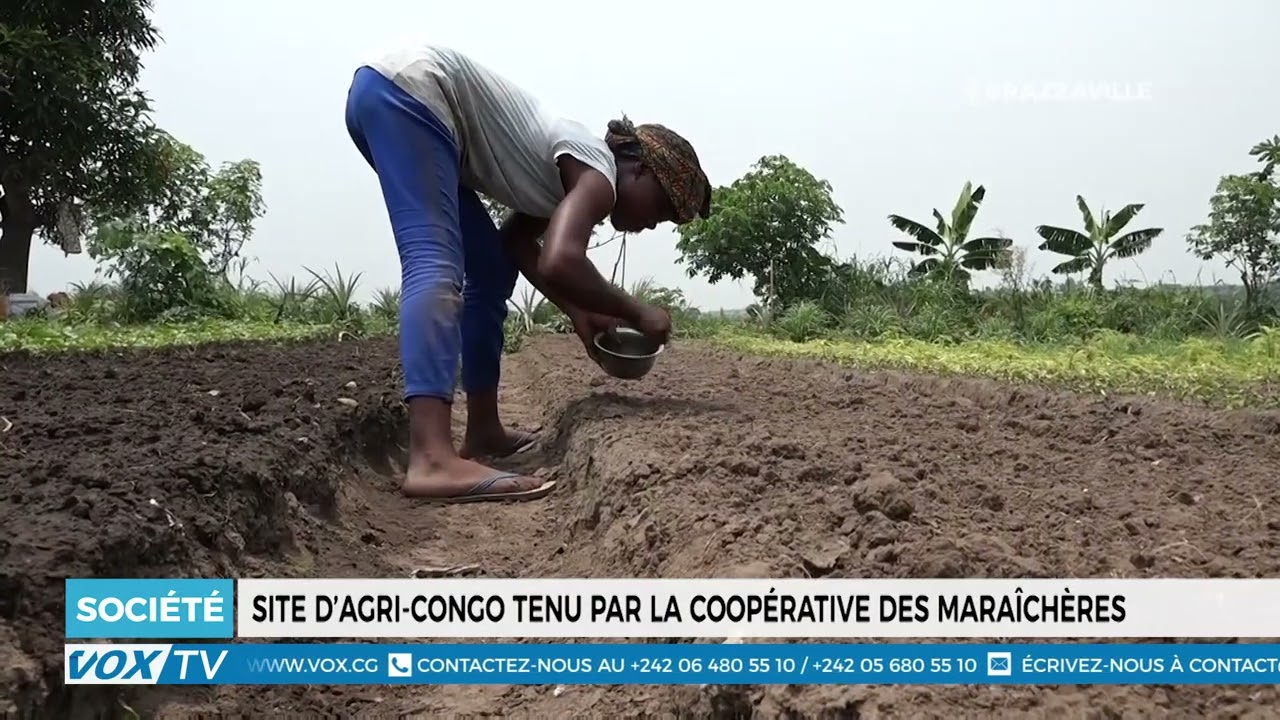 Site d’Agri Congo tenu par la coopérative des Maraîchères
