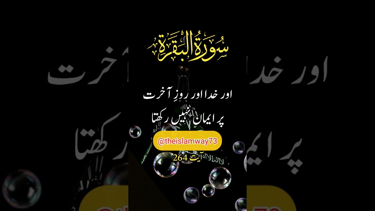 Surah Baqrah 264 #quranverses #quranrecitaion #urdutranslation #fyp #trend #shorts