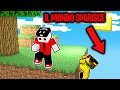 MINECRAFT MA OGNI SECONDO IL MONDO SPARISCE