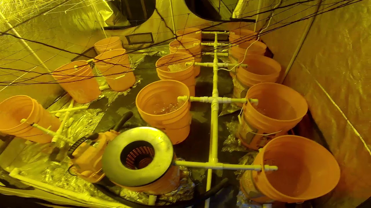 RDWC BUILD FIRST TEST RUN