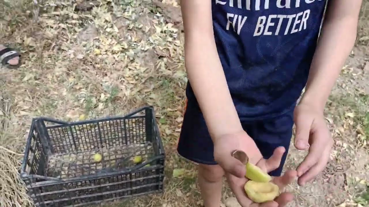 #فلوق الى ولاية #باتنة  في جناننا  في اريس وفرحة نجاح بنت اختي في الامتحان شهادة تعليم المتوسط