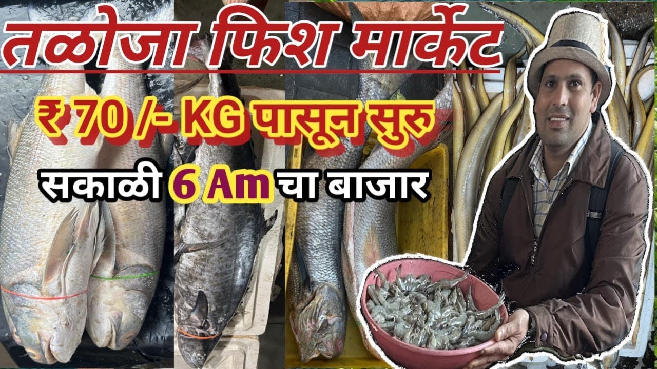 मुंबई का सबसे सस्ता होलसेल तलोजा फिश मार्केट|Taloja Fish Market|Wholesale Fish Market In Navi Mumbai