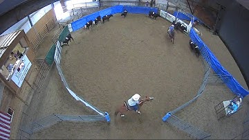 Big Sky Ranch Sorting Saddle Series #4 - #3 SORT - Round #1 - Ride #3