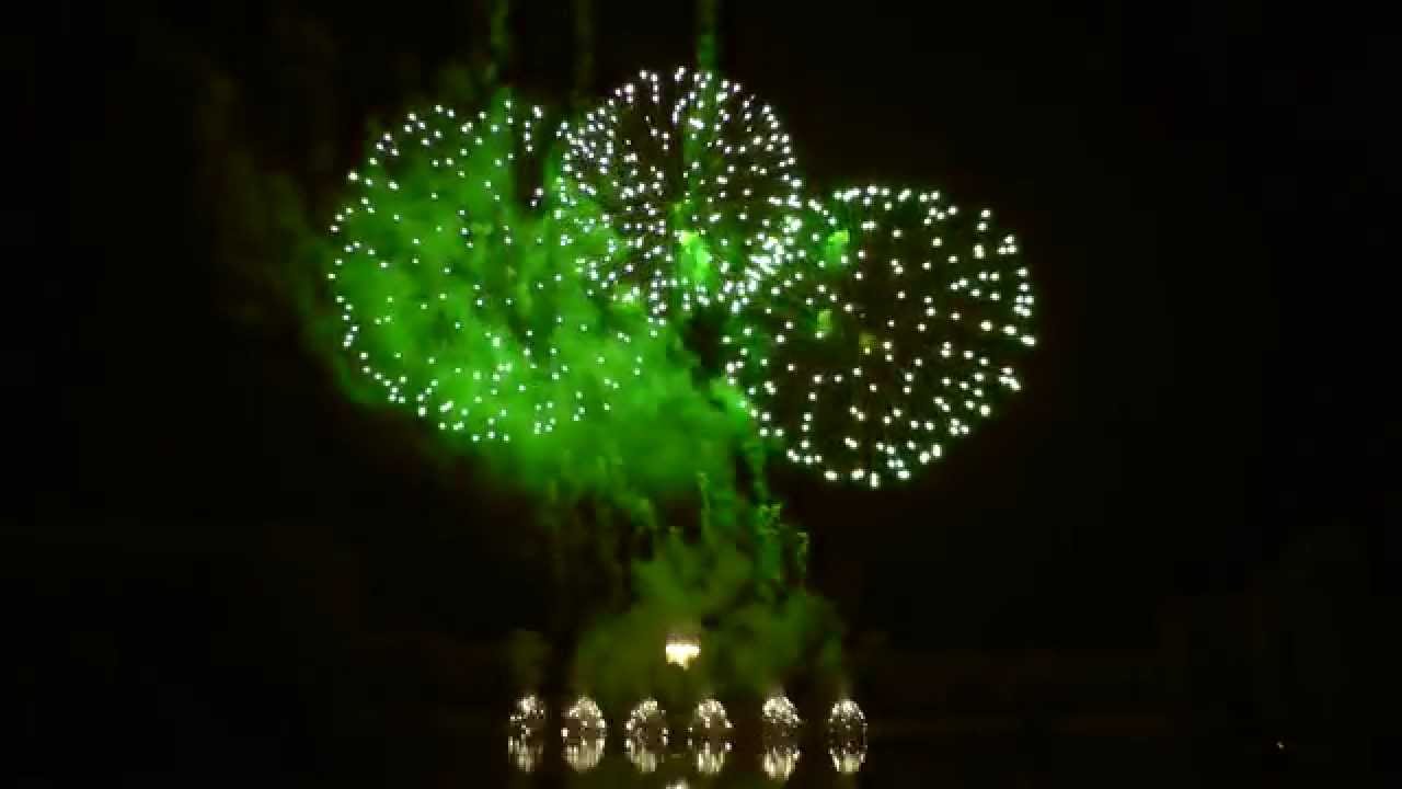 Rhein in Flammen - Bonn 2014