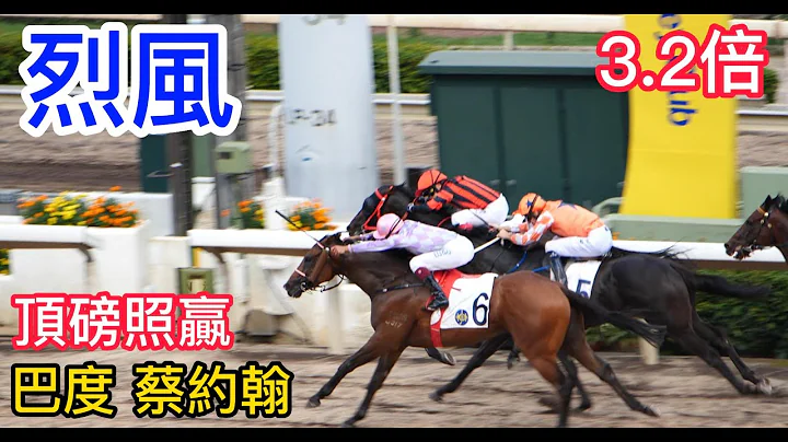 烈風(E193)巴度/蔡約翰/沙田賽馬/凱旋門頭馬相(現場版) 6月10日 (第1場) 全天候跑道 (今季4捷) - 天天要聞