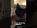 Is her neck okay? #cat #cute #ruki #rookie #貓 @Bai-JiaTW