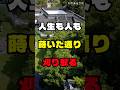 人生も人も、蒔いた通り刈り取る #人生の教え#人生哲学 #名言 #人間関係 #シニアライフ #shorts
