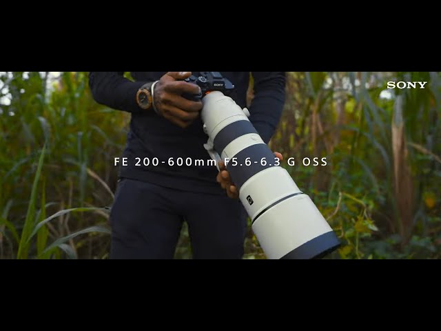 Sony | Super-telephoto Lenses for Wildlife & Insects with Sony Alpha 7R V | α class=