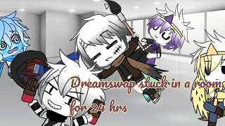 Dreamswap | stuck in a room for 24 hrs (description)