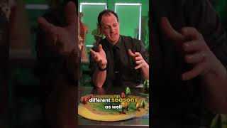 Photosynthesis Discovering Nature s Secrets in a Board Game