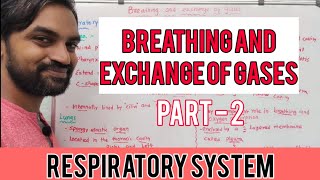 Breathing and Exchange of gases | Part 2 | Respiratory System