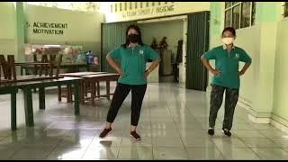 'Pinguin Dance Albania'