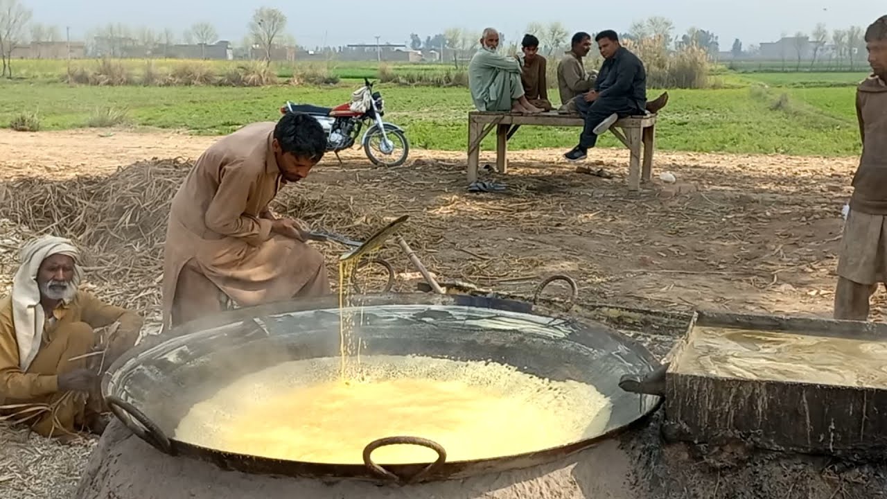 How Desi Gurr l Villag Life in pakistan#fyp #vlog#viral #youtube #pindlife #villagelifestyle#punjab