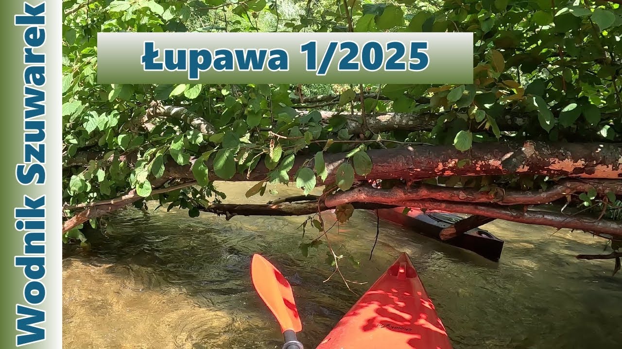 Wodnik Szuwarek odkrywa rzekę Łupawa na Kaszubach 1/2025! Spływ kajakowy Jasień - Kozin.
