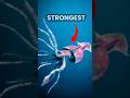 “Are These the Scariest Squids Ever Discovered? 🦑”#shorts #ocean #facts #fish #viral #prehistoric