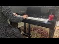 Mrs.GREEN  APPLE feat.井上苑子/点描の唄(てんびょうのうた)/piano  cover
