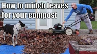 How to Mulch Leaves for your Compost (Lawnmower Method)