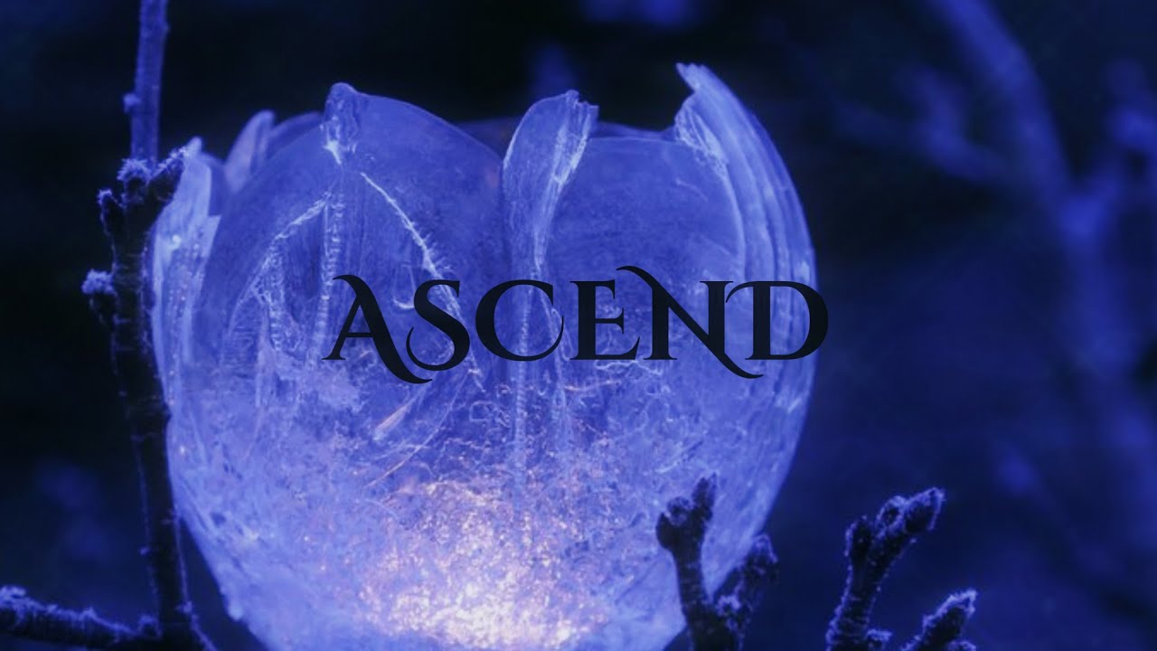 Ascend. | shift to your dr no matter what. realize your power | [READ DESC FOR BENEFITS]