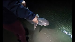 Nightime Inlet  Coastal Fishing, These made it WORTH the Trip! by SaltEastSimon 251 views 6 months ago 8 minutes, 2 seconds